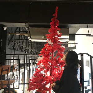 舞厅里挺进人妻的身体
