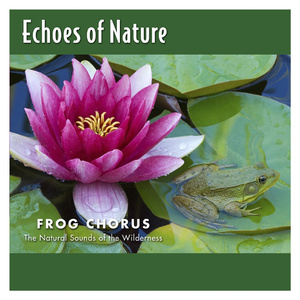 舞厅里挺进人妻的身体
